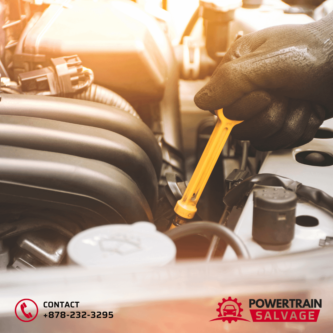 engine oil inspection